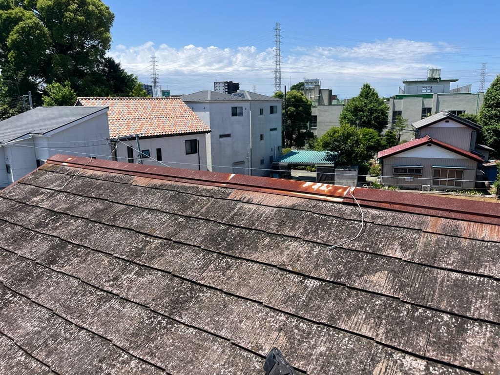 劣化した屋根の様子
