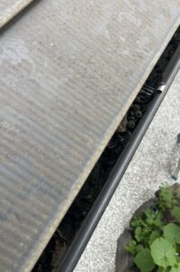 雨樋清掃前